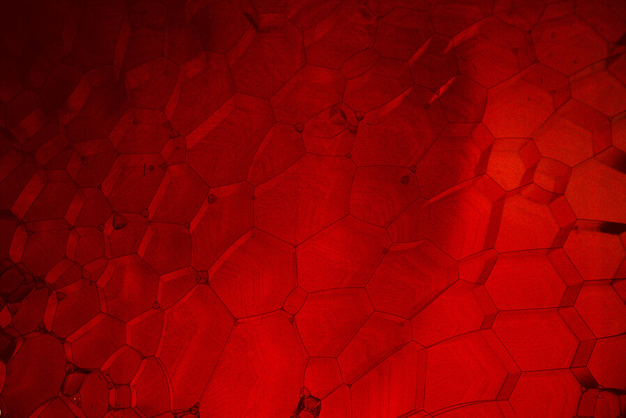 Blood Cells