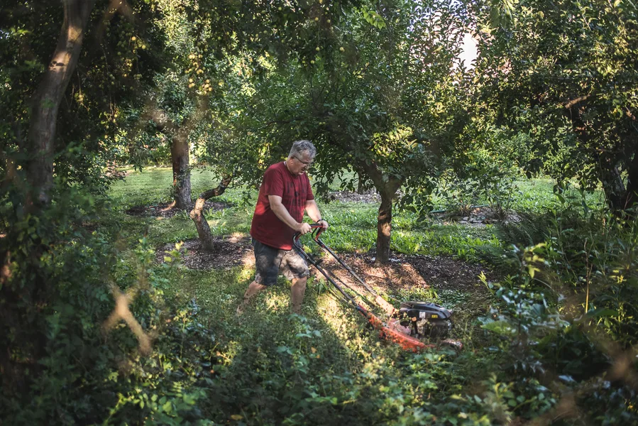 Father Mowing Land