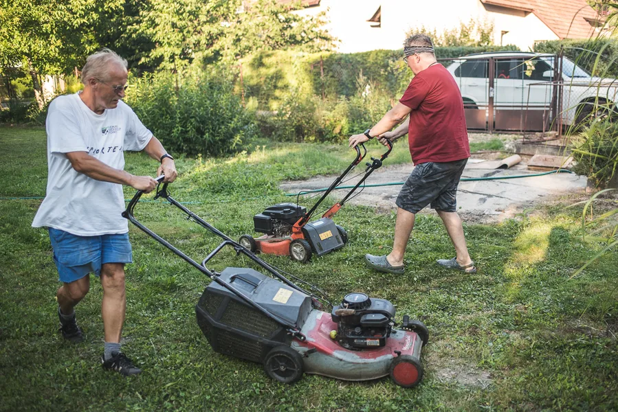 Lawn Mower Racing 