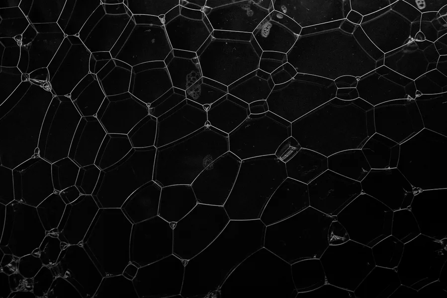 Cells