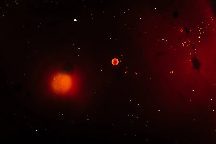 Mars