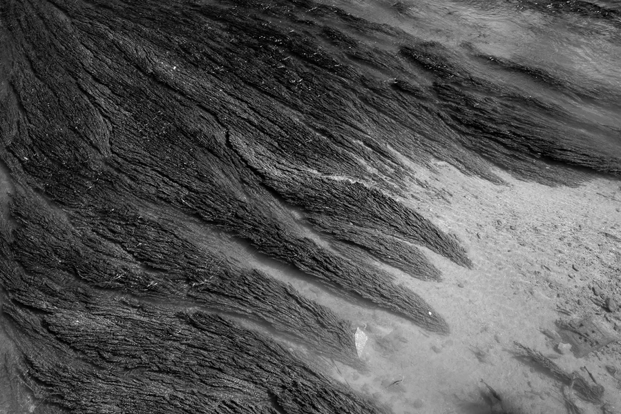 River texture