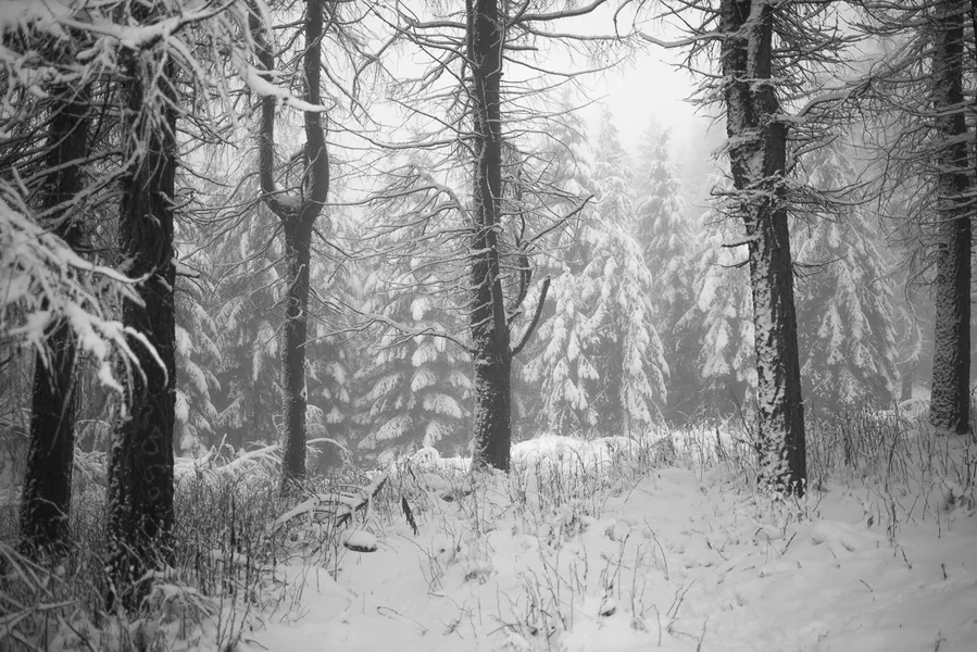 Winter