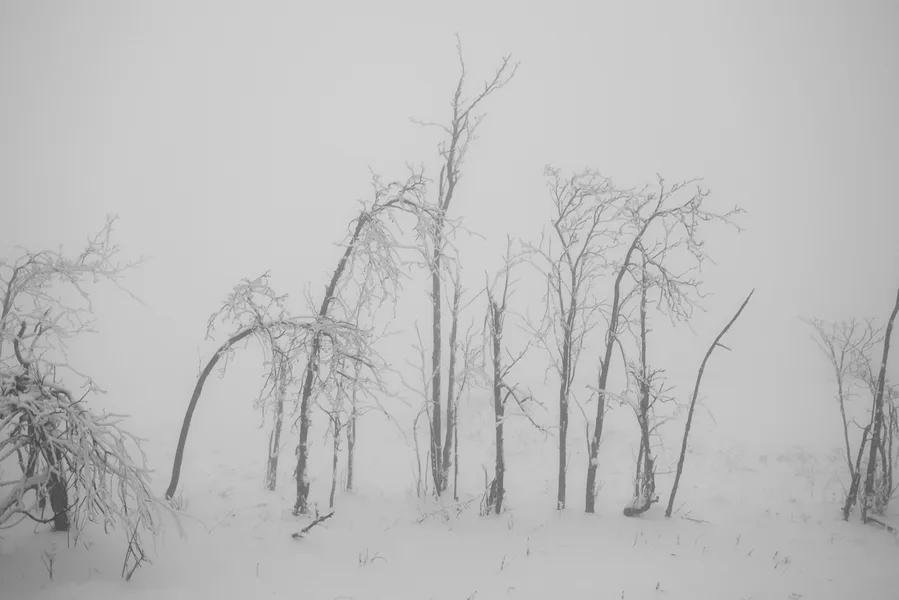 Winter