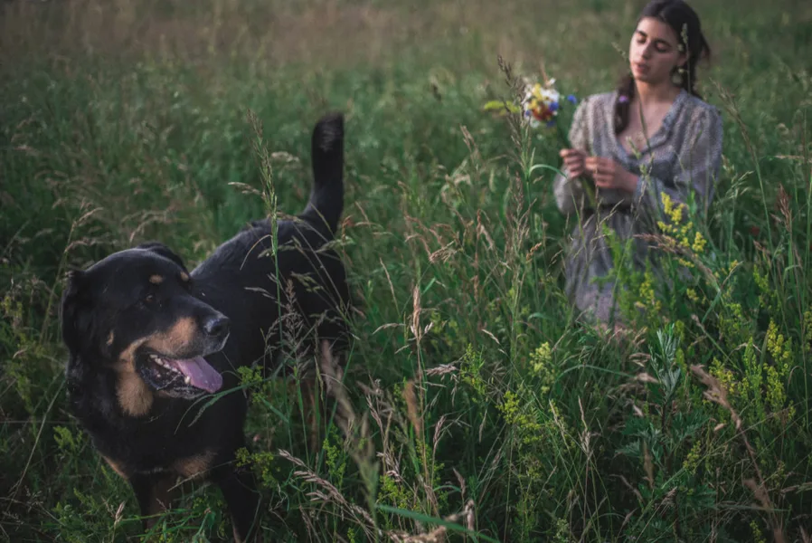 Róza, gypsy life